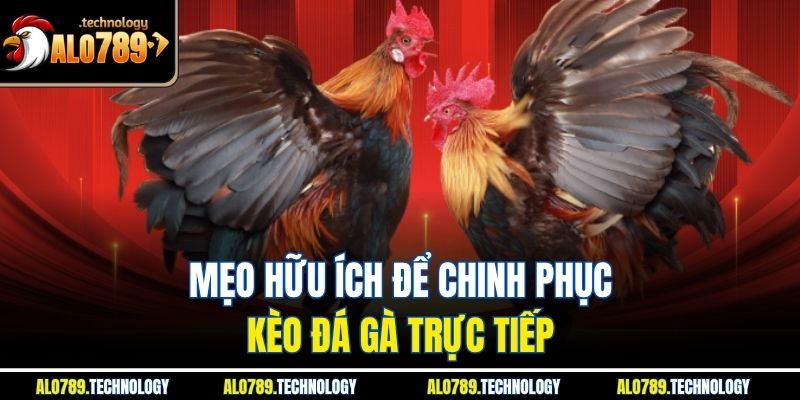 Mẹo hữu ích để chinh phục kèo đá gà trực tiếp