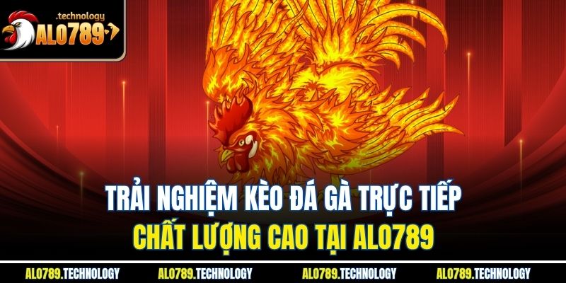 Trải nghiệm kèo đá gà trực tiếp chất lượng cao tại Alo789